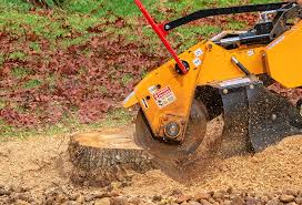 Mulching Services in Kingman, AZ